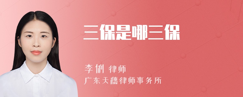 三保是哪三保