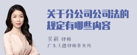 关于分公司公司法的规定有哪些内容