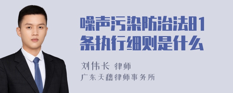 噪声污染防治法81条执行细则是什么