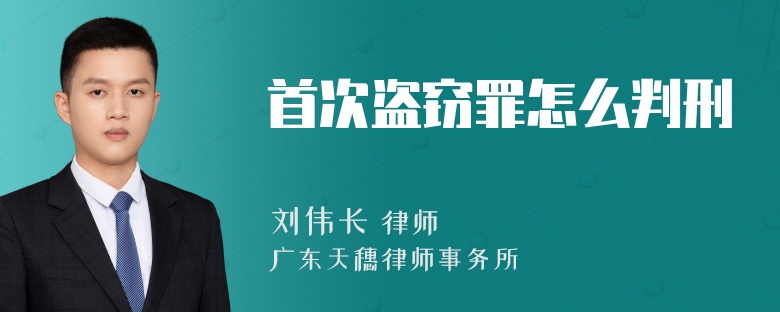 首次盗窃罪怎么判刑