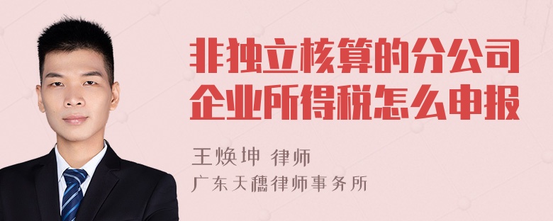 非独立核算的分公司企业所得税怎么申报