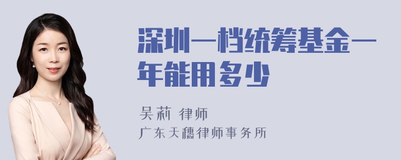 深圳一档统筹基金一年能用多少