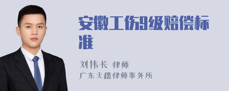 安徽工伤9级赔偿标准