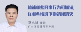 简述哪些民事行为可撤销,在哪些情况下撤销权消灭