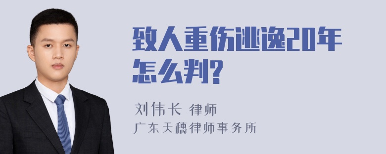 致人重伤逃逸20年怎么判?