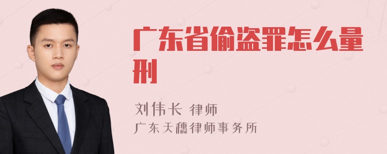 广东省偷盗罪怎么量刑