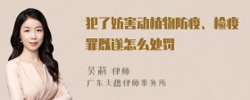 犯了妨害动植物防疫、检疫罪既遂怎么处罚