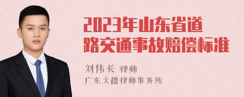 2023年山东省道路交通事故赔偿标准