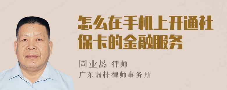 怎么在手机上开通社保卡的金融服务