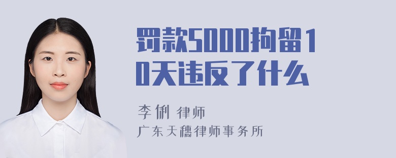 罚款5000拘留10天违反了什么