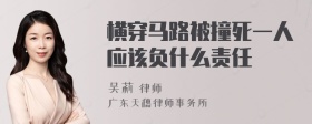 横穿马路被撞死一人应该负什么责任