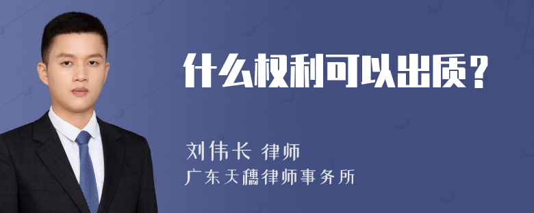 什么权利可以出质？