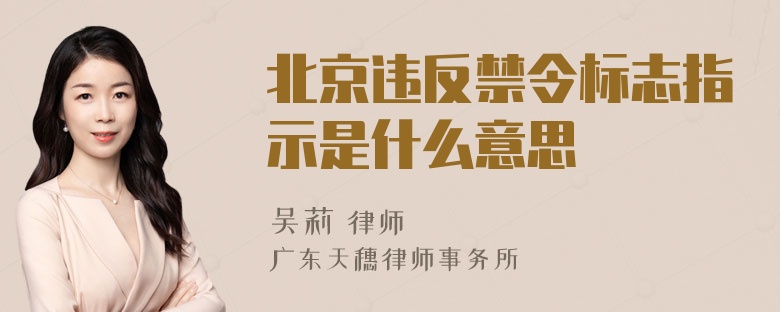 北京违反禁令标志指示是什么意思