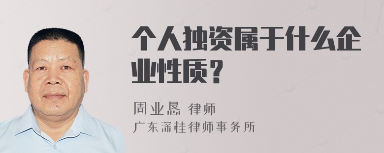 个人独资属于什么企业性质？