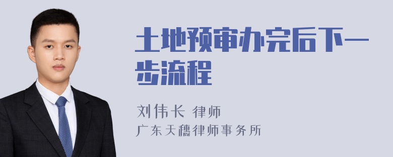 土地预审办完后下一步流程