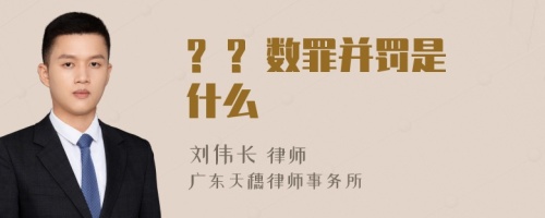 ? ? 数罪并罚是什么