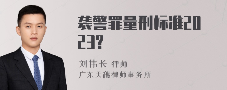 袭警罪量刑标准2023?