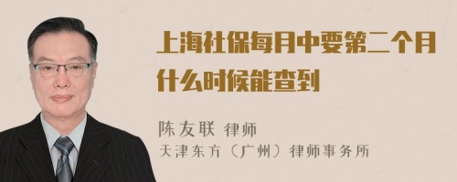 上海社保每月中要第二个月什么时候能查到