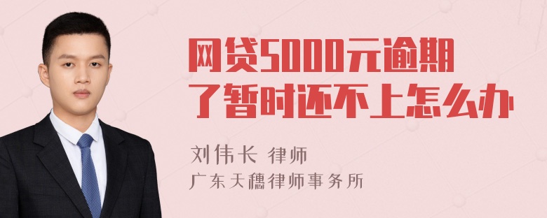 网贷5000元逾期了暂时还不上怎么办