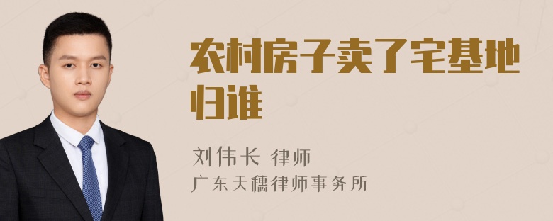 农村房子卖了宅基地归谁