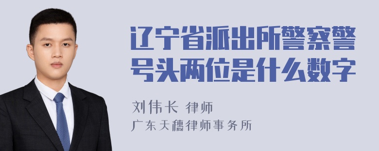 辽宁省派出所警察警号头两位是什么数字