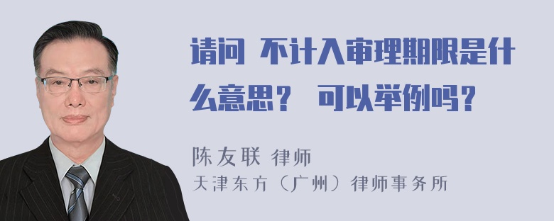 请问 不计入审理期限是什么意思？ 可以举例吗？