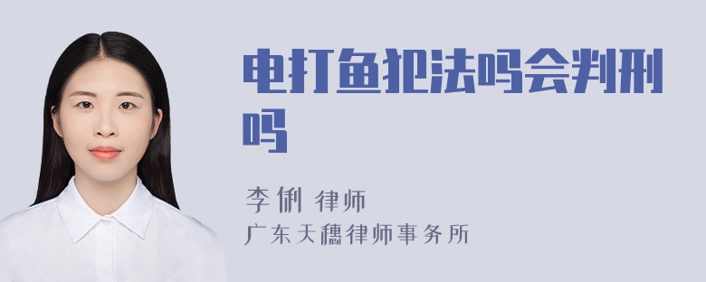 电打鱼犯法吗会判刑吗