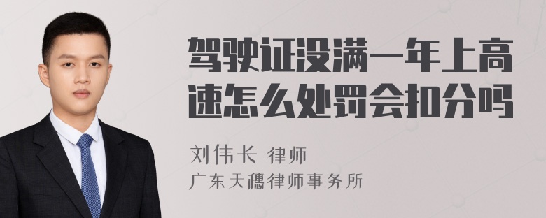 驾驶证没满一年上高速怎么处罚会扣分吗