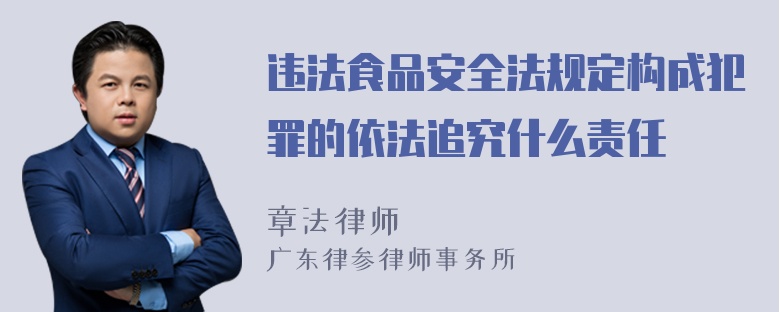 违法食品安全法规定构成犯罪的依法追究什么责任