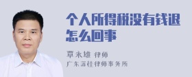 个人所得税没有钱退怎么回事