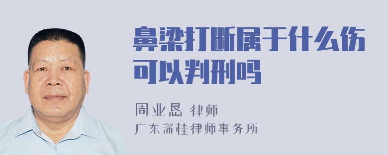 鼻梁打断属于什么伤可以判刑吗