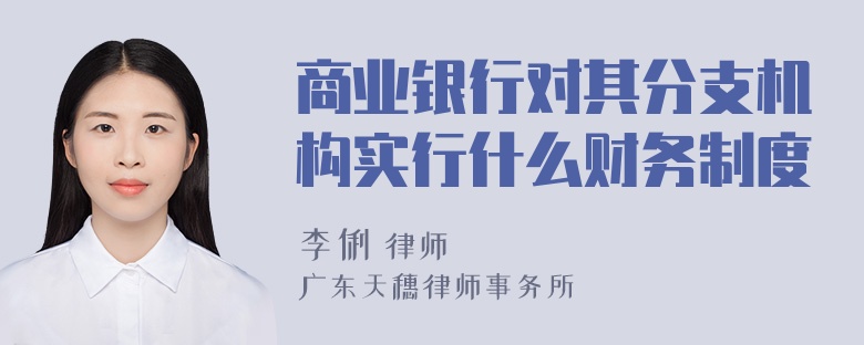 商业银行对其分支机构实行什么财务制度