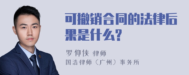 可撤销合同的法律后果是什么?