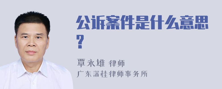 公诉案件是什么意思?