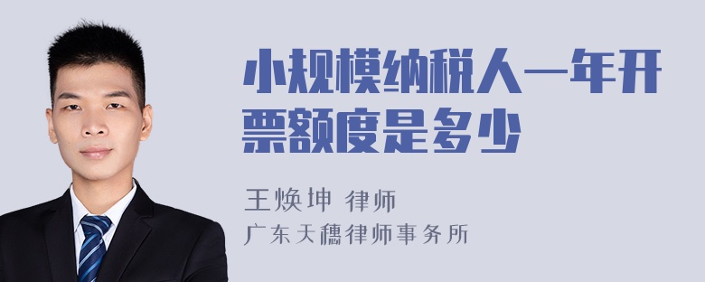 小规模纳税人一年开票额度是多少