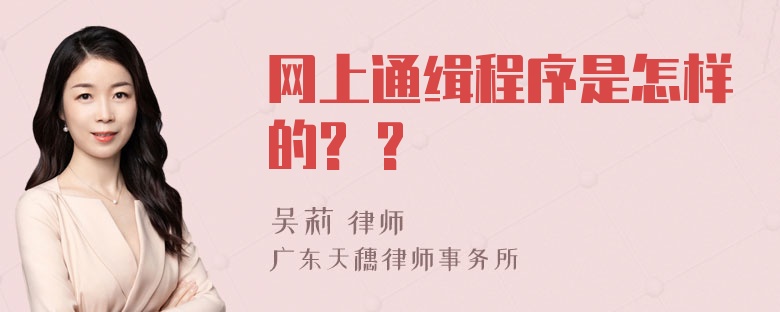 网上通缉程序是怎样的? ?