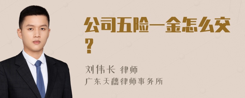 公司五险一金怎么交？