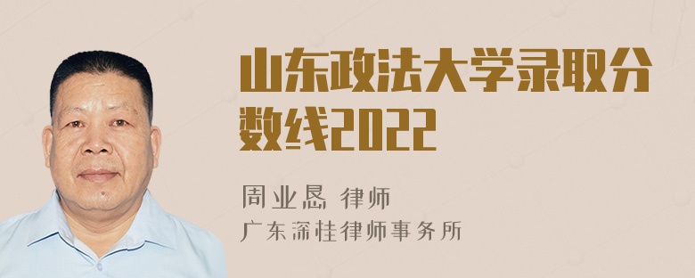 山东政法大学录取分数线2022