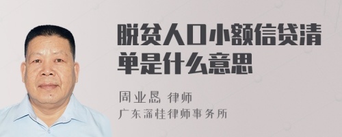 脱贫人口小额信贷清单是什么意思