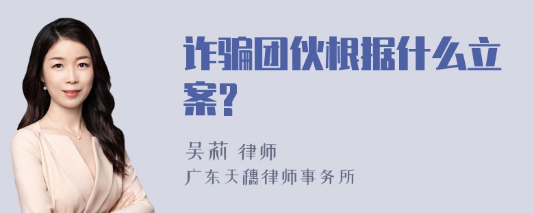 诈骗团伙根据什么立案?