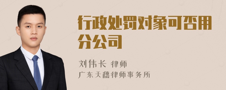 行政处罚对象可否用分公司