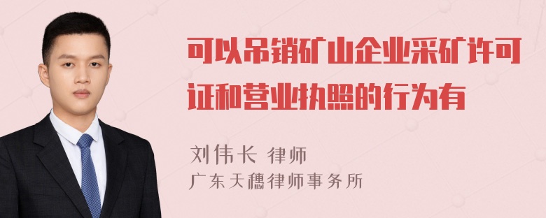 可以吊销矿山企业采矿许可证和营业执照的行为有