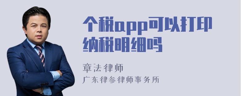 个税app可以打印纳税明细吗