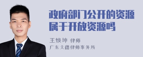 政府部门公开的资源属于开放资源吗