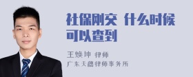 社保刚交 什么时候可以查到