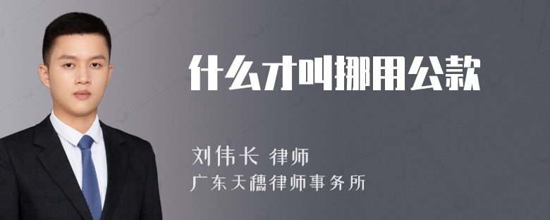 什么才叫挪用公款