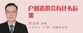 户籍造假会有什么后果