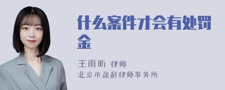 什么案件才会有处罚金