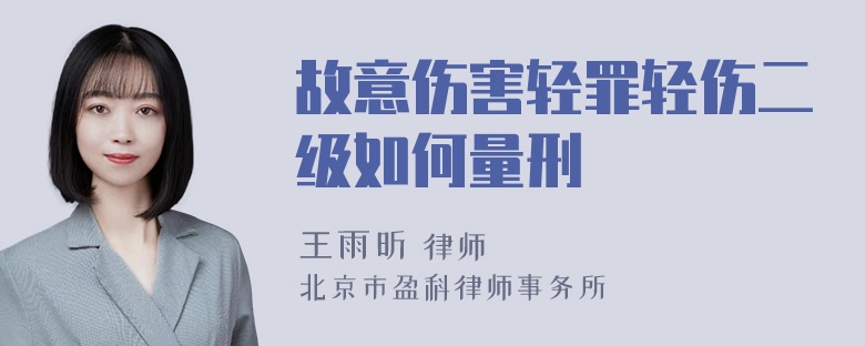 故意伤害轻罪轻伤二级如何量刑