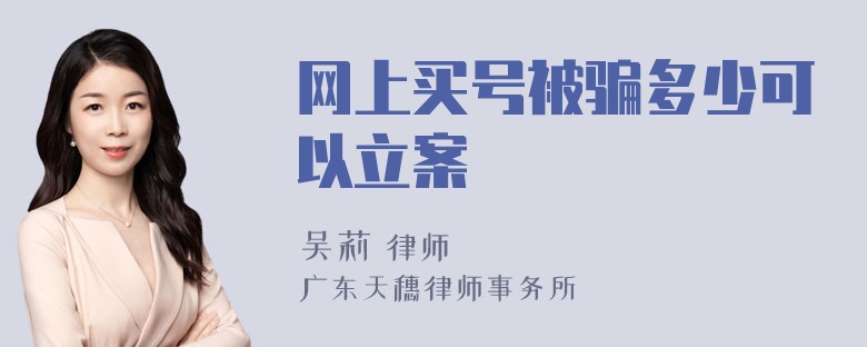 网上买号被骗多少可以立案